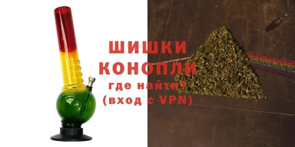 дживик Бронницы