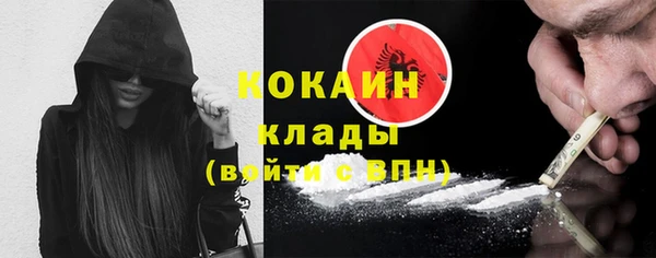 дживик Бронницы