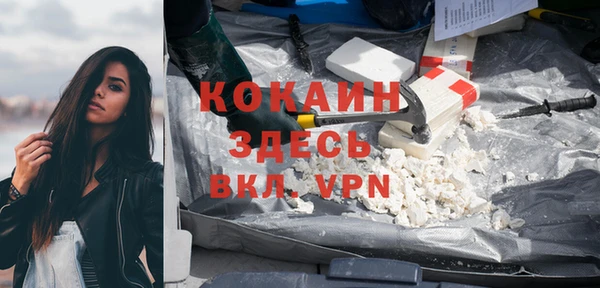 дживик Бронницы
