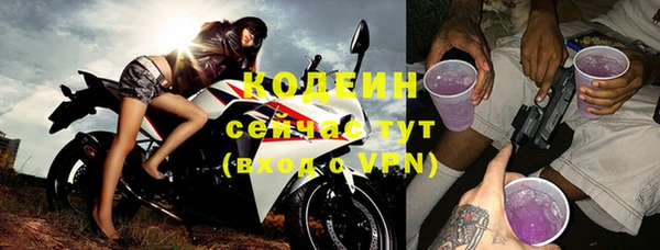 дживик Бронницы